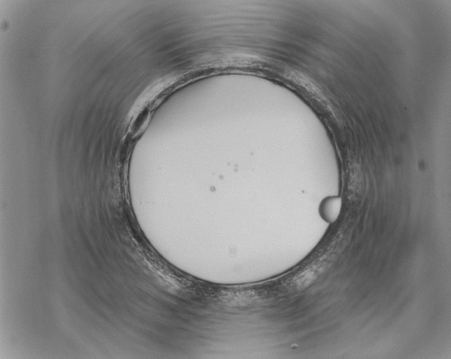 X0000069830978200606091441