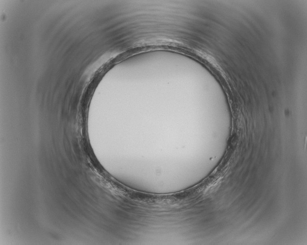 X0000069830979200606091441