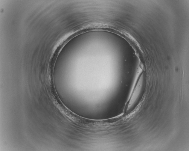 X0000069830981200606091441