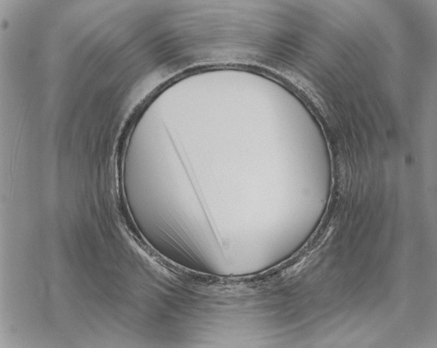 X0000069830982200606091441