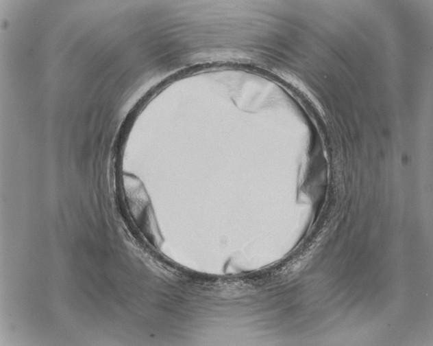 X0000069830983200606091441