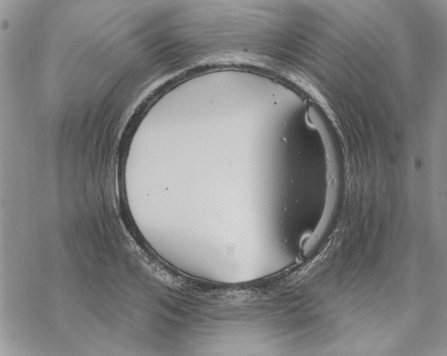 X0000069830984200606091441