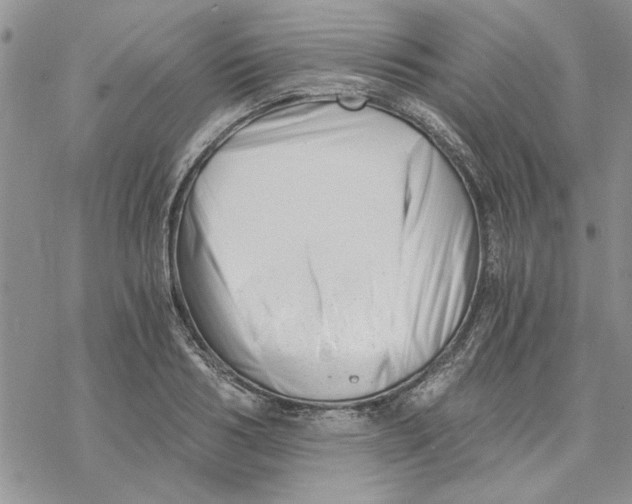 X0000069830986200606091441