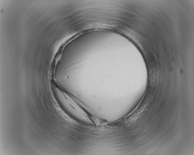 X0000069830987200606091441