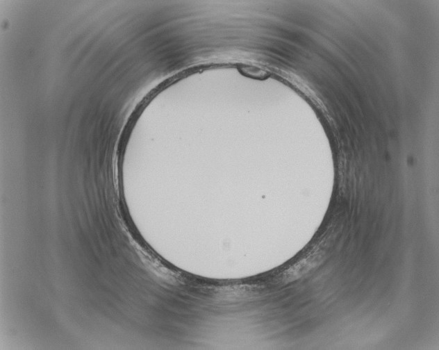 X0000069830988200606091441