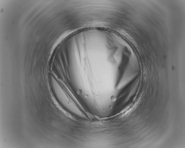 X0000069830989200606091441