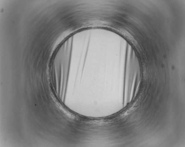 X0000069830990200606091441