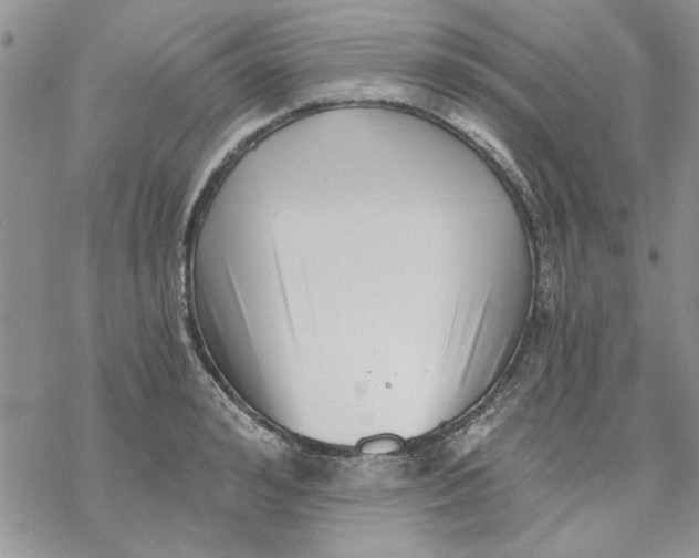 X0000069830992200606091441