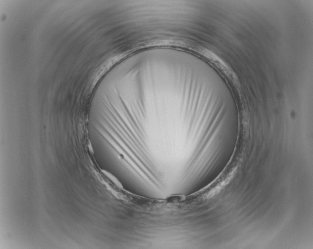 X0000069830993200606091441