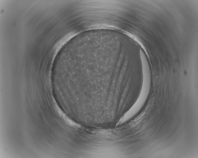 X0000069830995200606091441