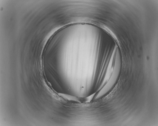 X0000069830996200606091441