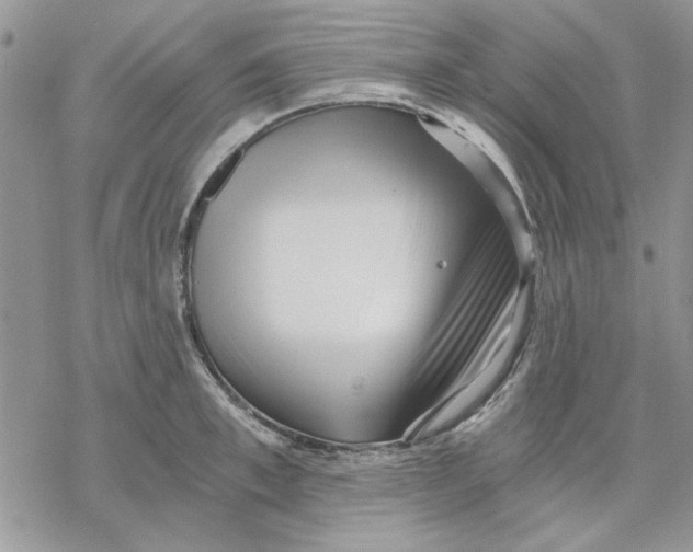 X0000069830997200606091441