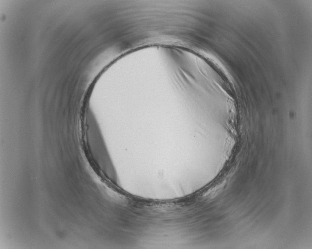 X0000069830999200606091441