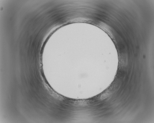 X0000069831000200606091441