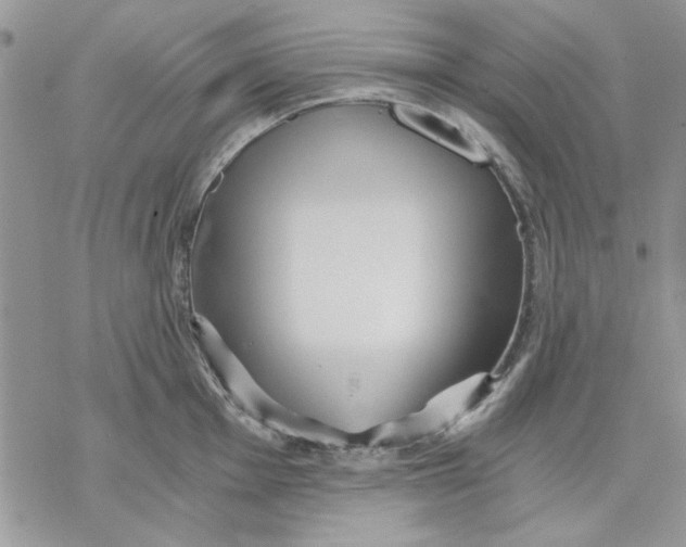 X0000069831001200606091441