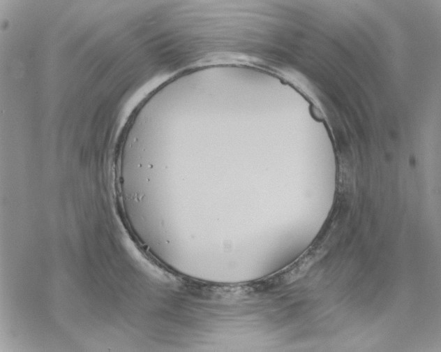 X0000069831003200606091441