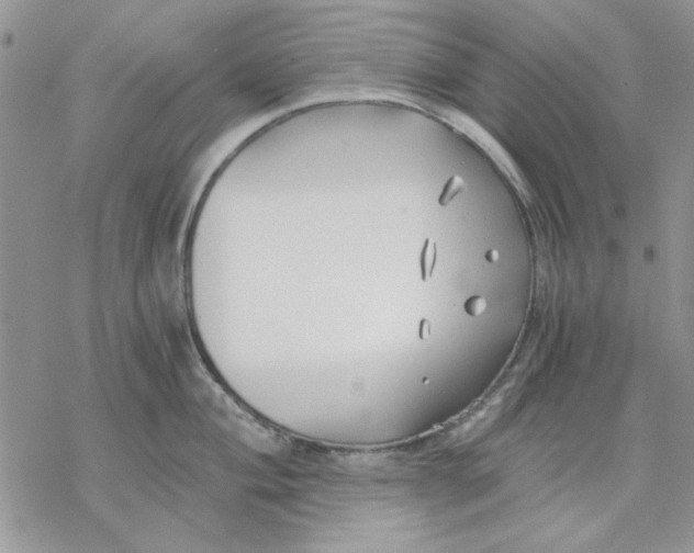 X0000069831004200606091441