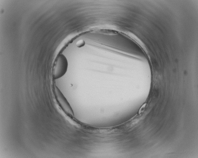 X0000069831005200606091441