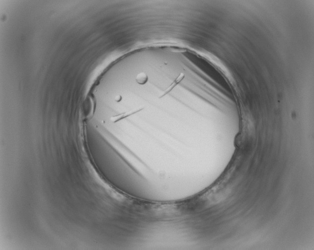 X0000069831006200606091441