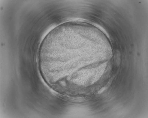 X0000069831007200606091441