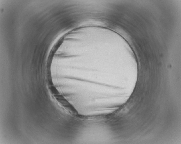 X0000069831008200606091441