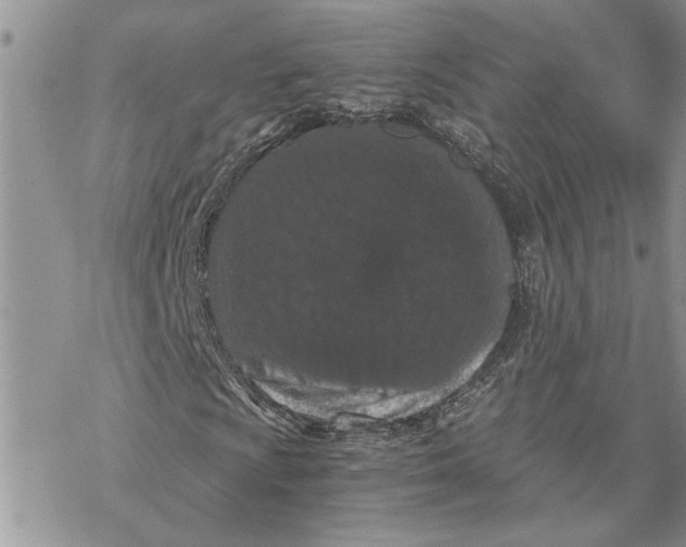 X0000069831009200606091440