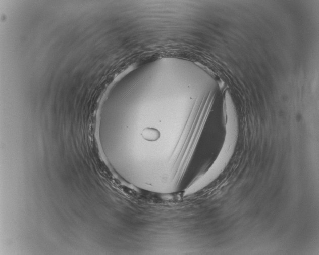 X0000069831010200606091440