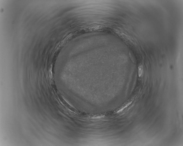 X0000069831011200606091440