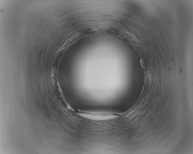 X0000069831012200606091440