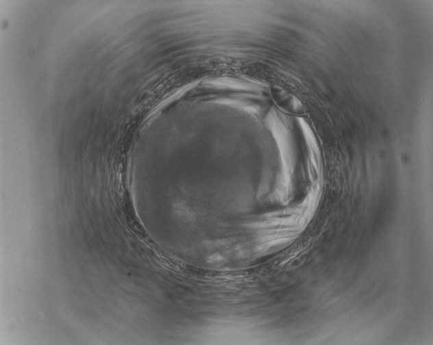 X0000069831013200606091440