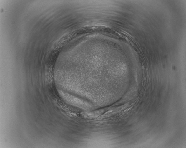 X0000069831014200606091440