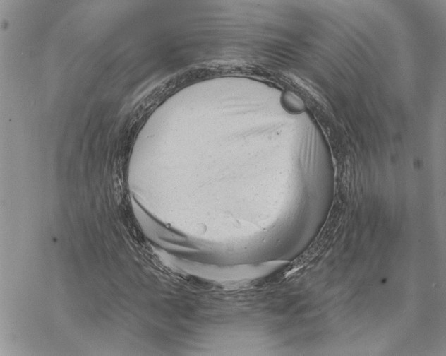 X0000069831015200606091440