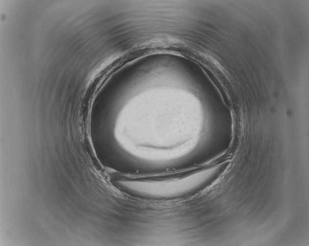 X0000069831018200606091440