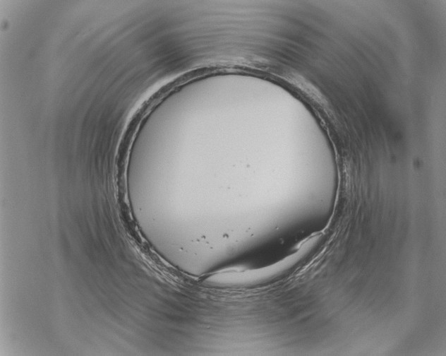 X0000069831020200606091440