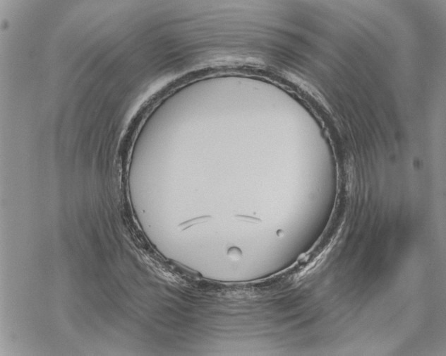 X0000069831021200606091440