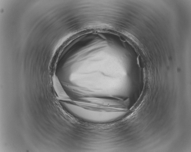 X0000069831022200606091440