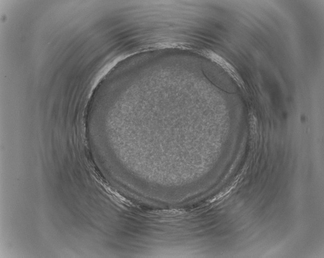 X0000069831023200606091440