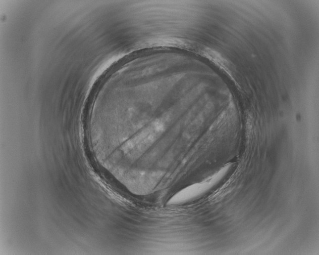 X0000069831024200606091440