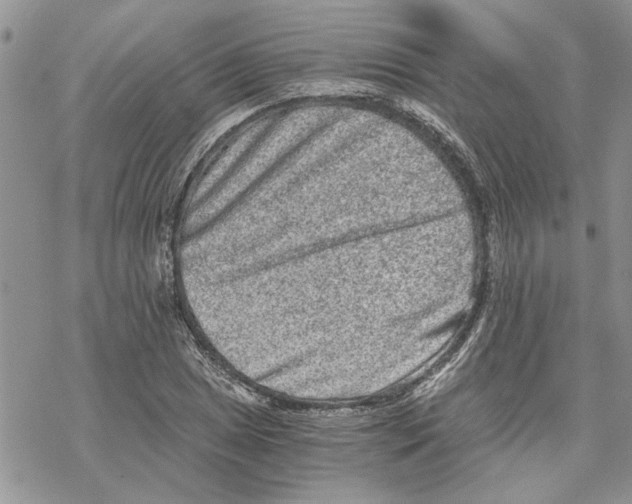 X0000069831025200606091440