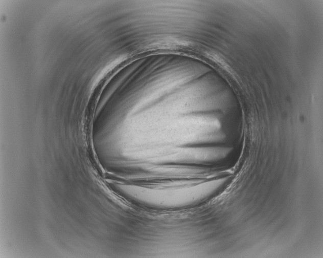 X0000069831026200606091440