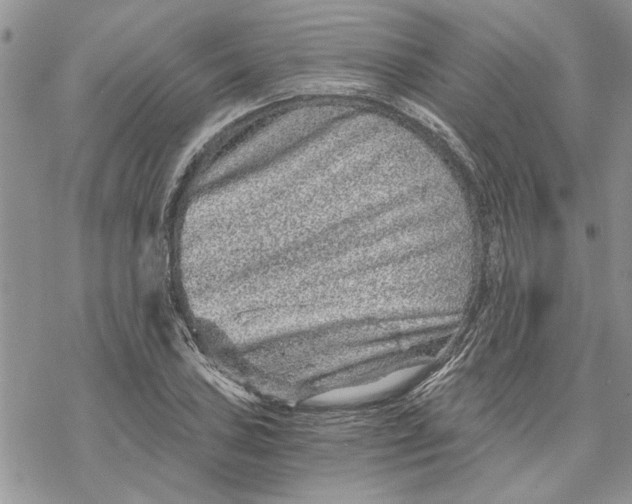 X0000069831027200606091440