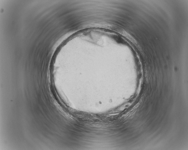 X0000069831028200606091440