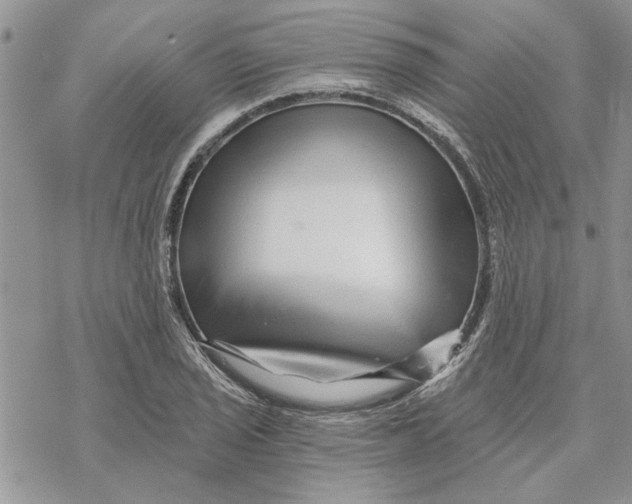 X0000069831029200606091440