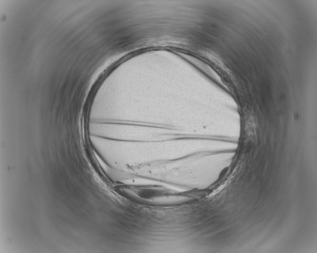 X0000069831032200606091441