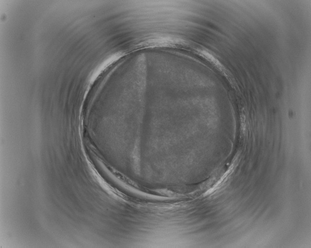 X0000069831034200606091441