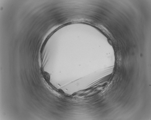 X0000069831036200606091441