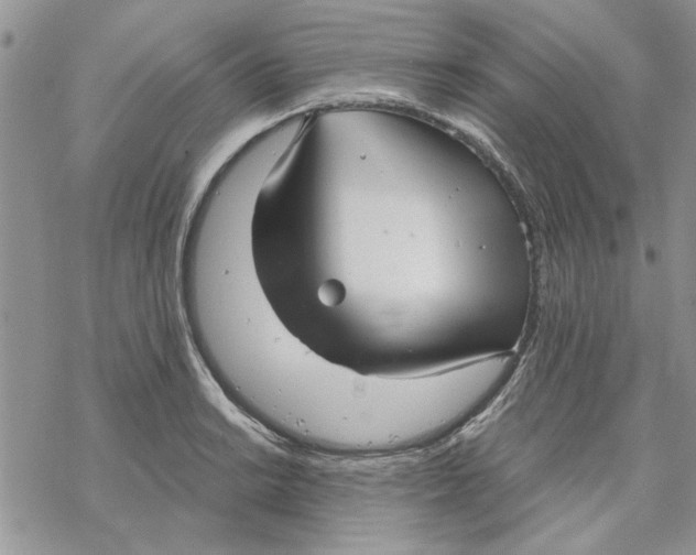 X0000069831038200606091441