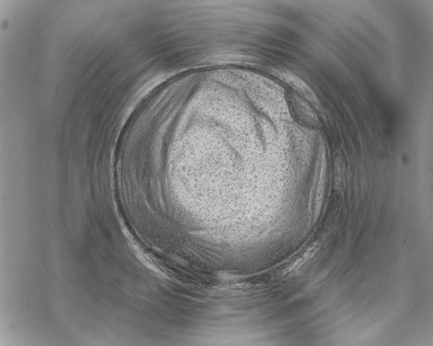 X0000069831039200606091441