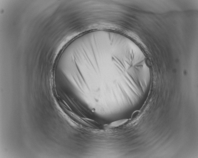 X0000069831040200606091441