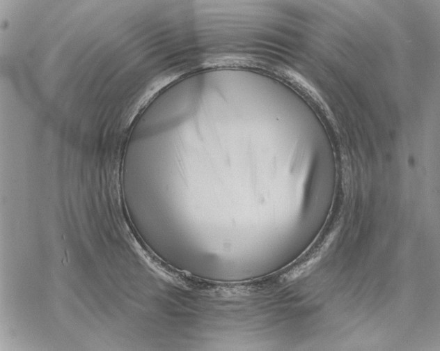 X0000069831041200606091441